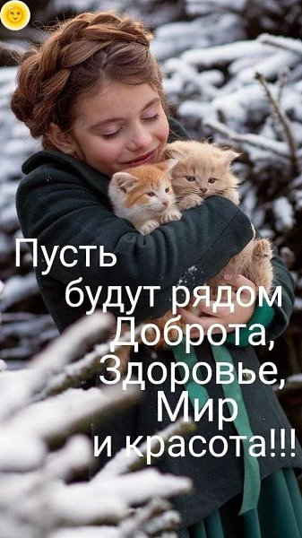  - 1  2022  08:39
