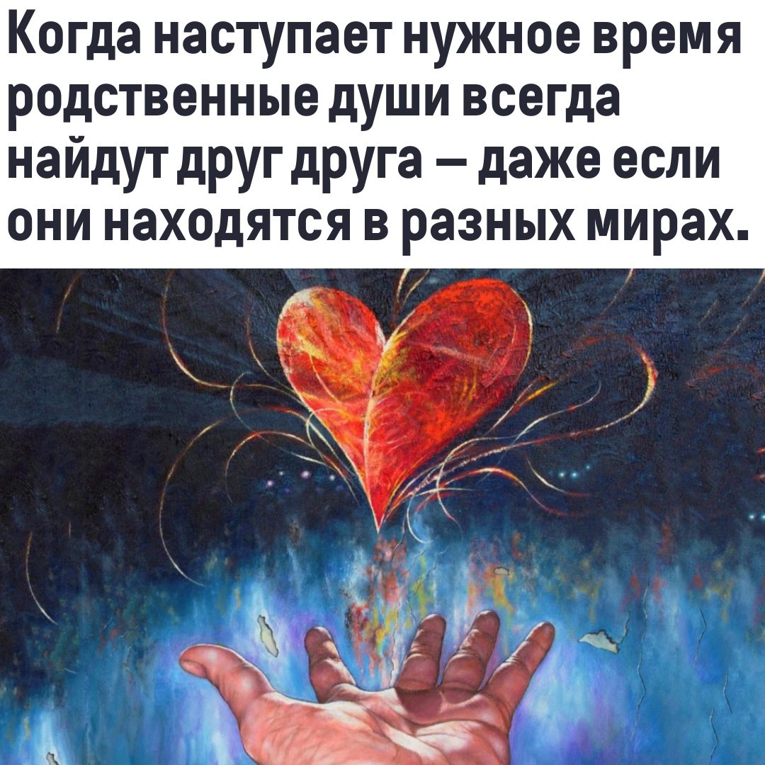  - 11  2022  07:22