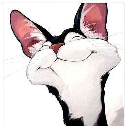 �����, ���������