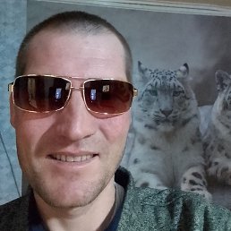 �����, �����������, 37 ���