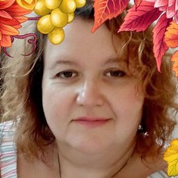 �������, ���������, 51 ���