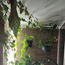 ���� ������, �����, 63 ���� - ��������� 21 ������� 2022 � ������ ���� ����