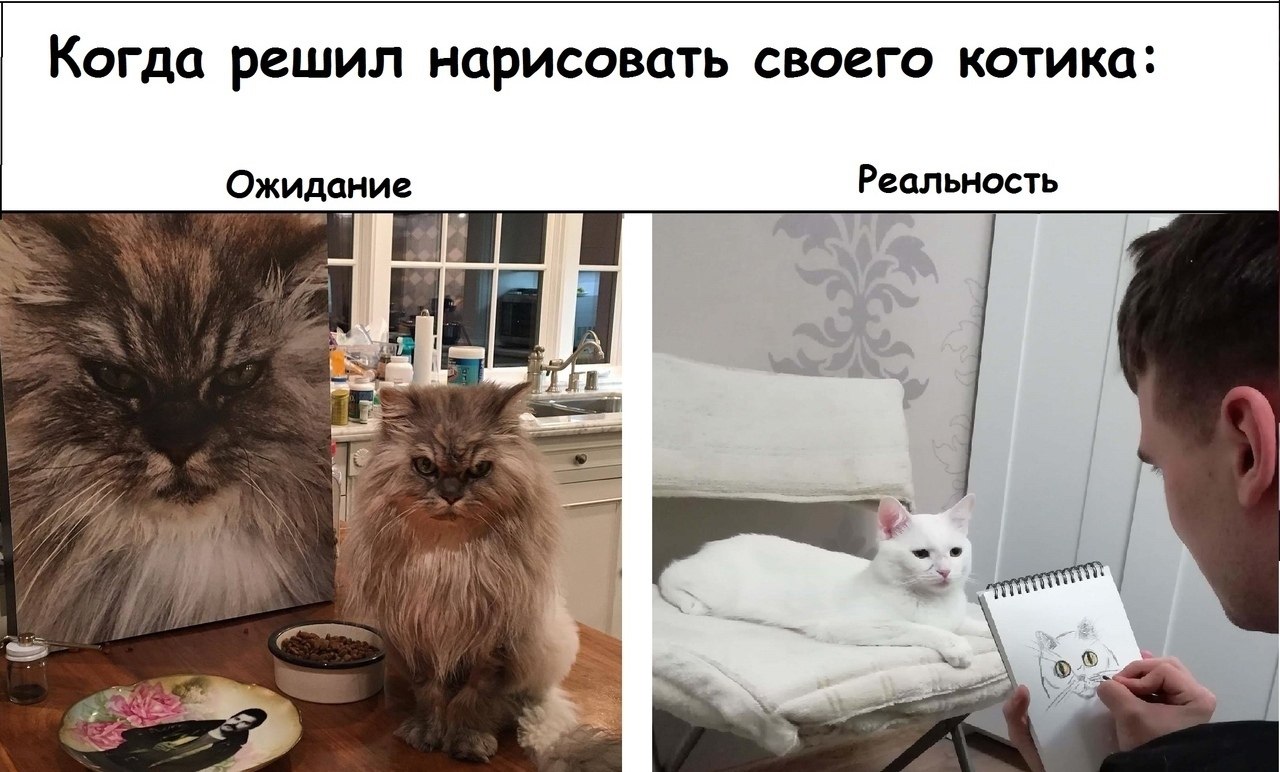    - 28  2022  07:12