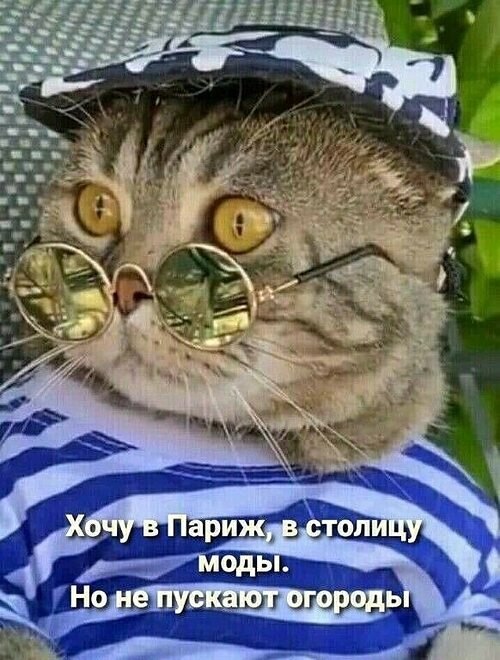   ! - 19  2022  22:43