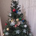 ���� ������, �����, 62 ���� - ��������� 9 ������ 2023 � ������ ���� ����������