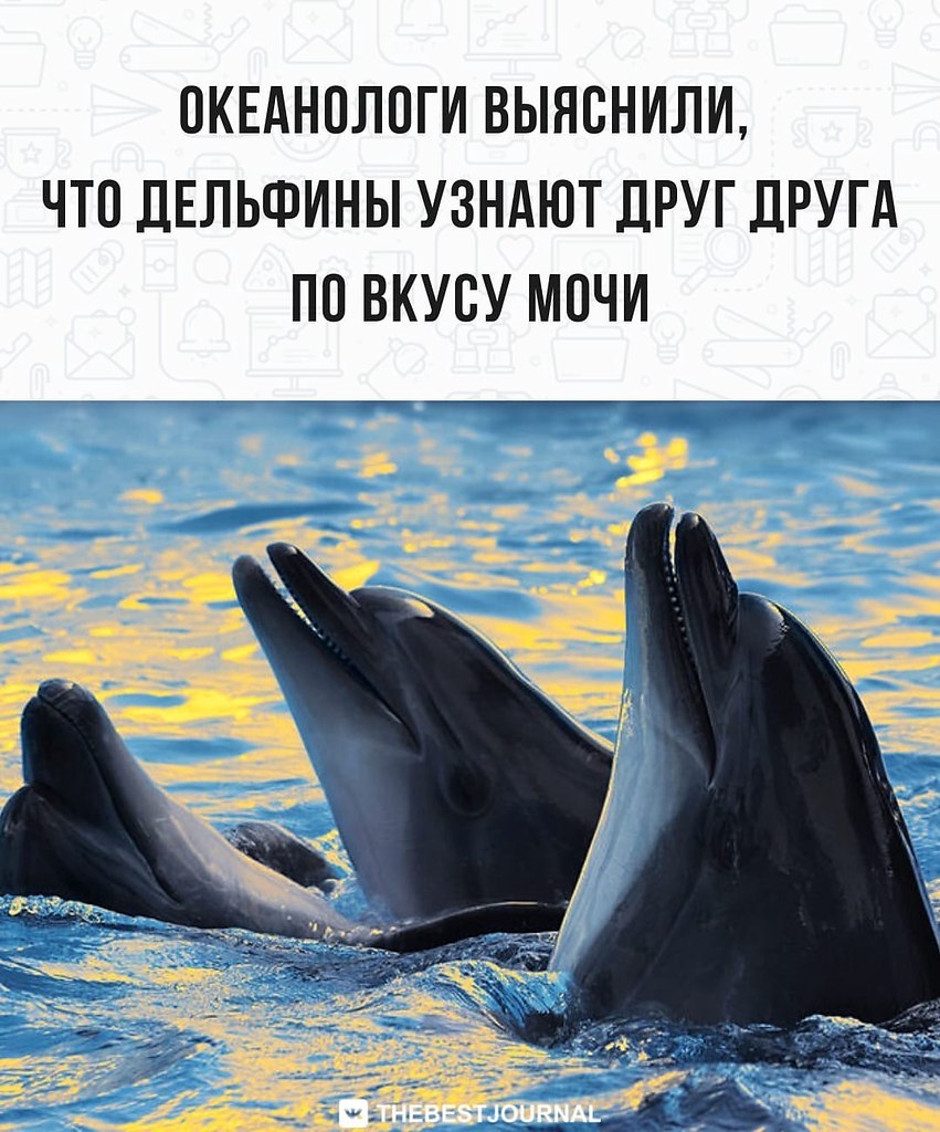 BEST | , ,  - 21  2022  22:17