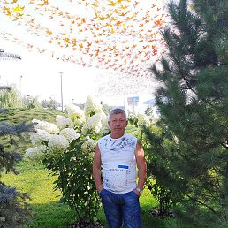 ����, ������, 65 ���