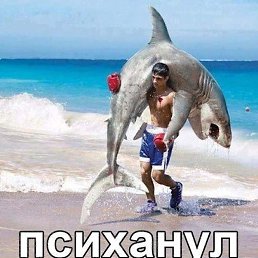 ������, ������, 51 ���