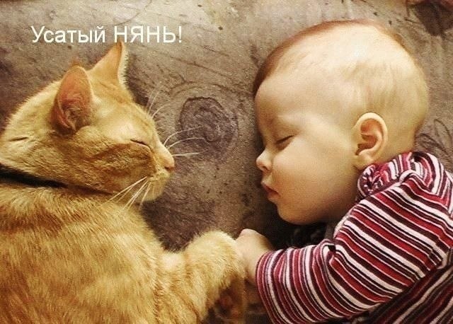    - 1  2022  03:37