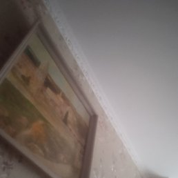 , , 64 