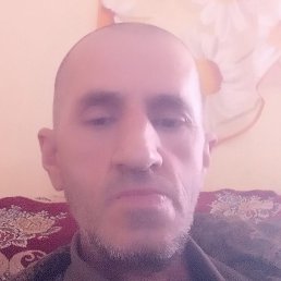 , , 51 