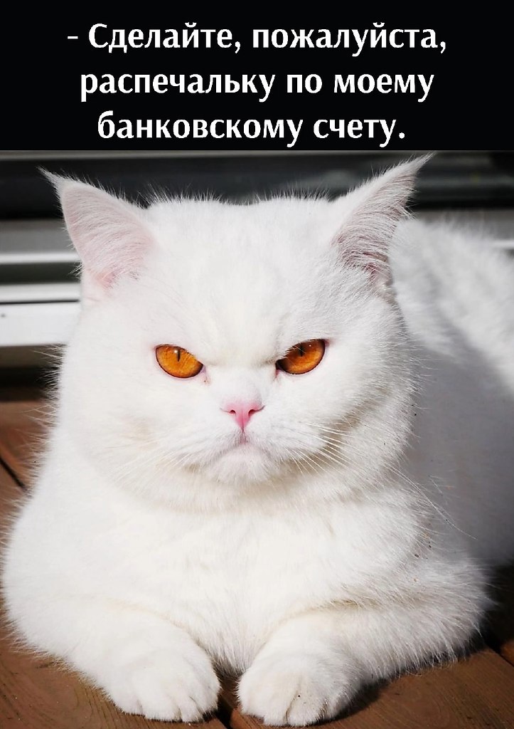       - 4  2022  10:09