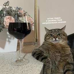 ���� Hard, ���������, 36 ��� - ��������� 17 ���� 2022