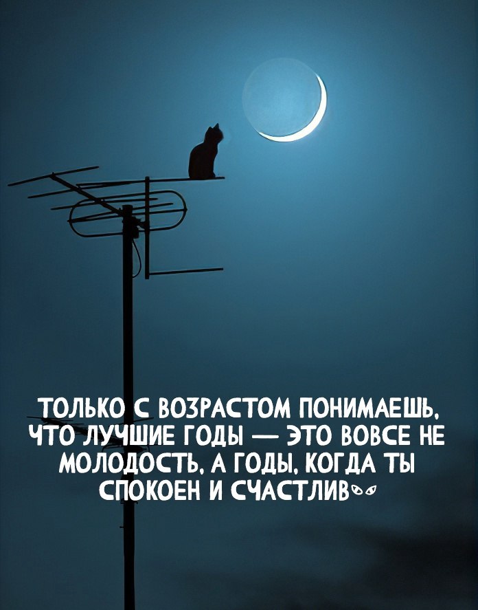  - 1  2022  21:08