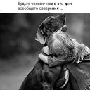 ���� ����, �����-��������� - ��������� 13 ������ 2022 � ������ ������ ��������