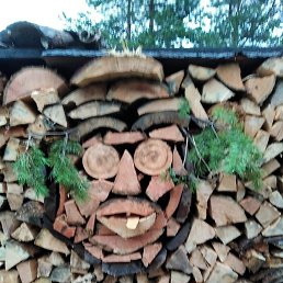 ����, ���������, 45 ���