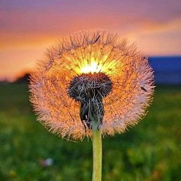 ���� Nano, ��������, 49 ��� - ��������� 31 ������� 2022