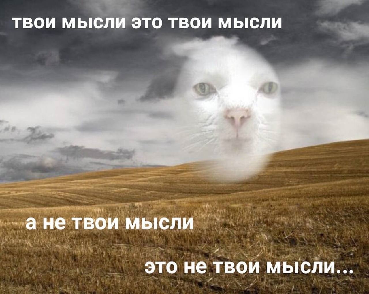    - 24  2022  03:36