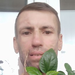 , , 45 