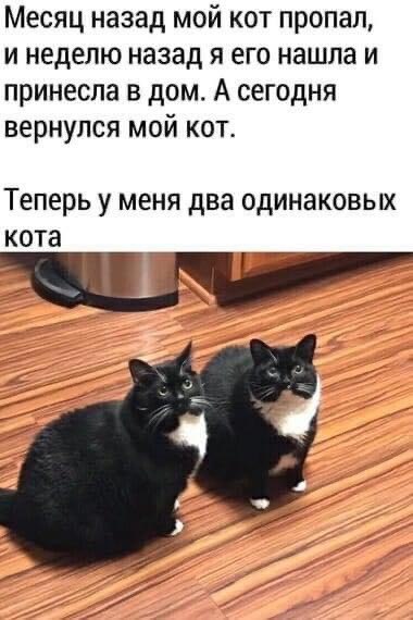   - 18  2022  18:42
