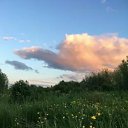 ���� �zju�, ����, 51 ��� - ��������� 28 ������� 2022 � ������ ���� ����������