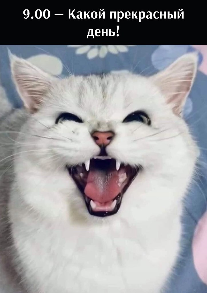     :