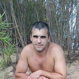 ��������, ���������, 39 ���