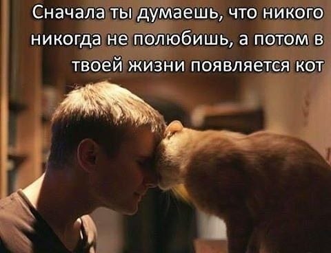    - 8  2022  20:15
