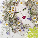 ���� ���������, ��������� - ��������� 3 ������� 2022 � ������ ���� ����������