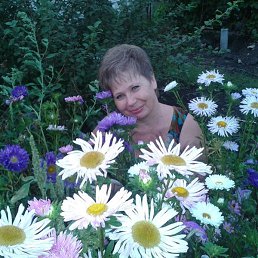 ��������, ��������, 68 ���