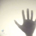 ���� �������, ������, 42 ���� - ��������� 8 ������ 2023 � ������ ���� ����������