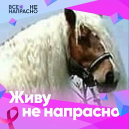 ��������, ������, 66 ���