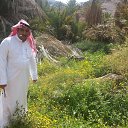  Khalifa, , 53  -  14  2022    