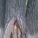 ���� ����, �������� - ��������� 17 ������� 2022 � ������ ���� ����������