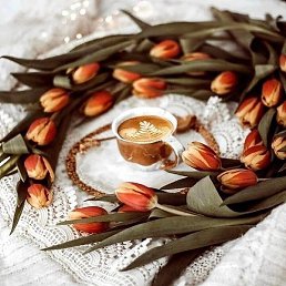 ����, ������, 49 ���