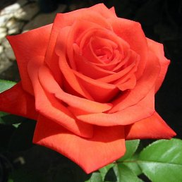 , , 24 