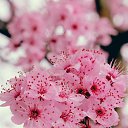 ���� �������, �����, 48 ��� - ��������� 21 ������ 2022