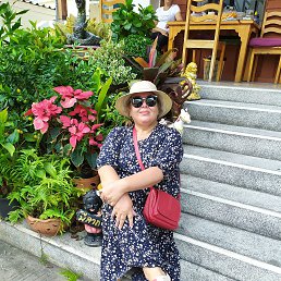 , 37 , 