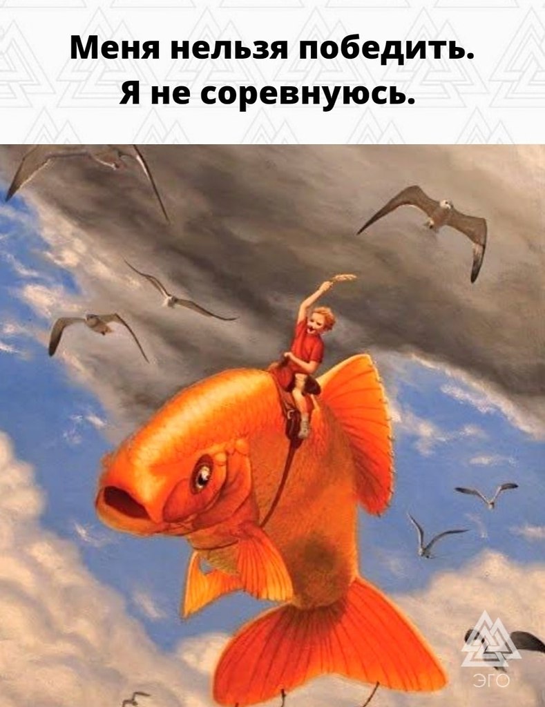  | ,  - 30  2022  11:21