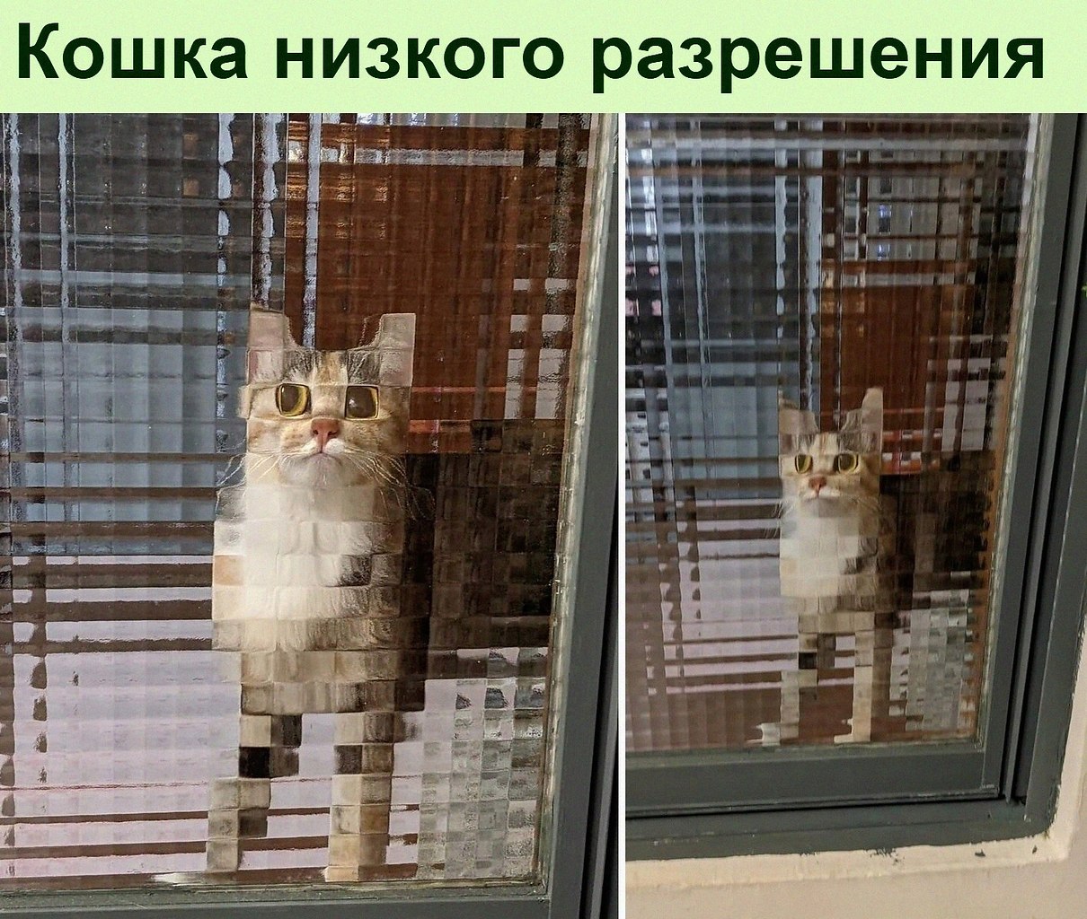   :D - 8  2022  22:28