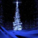 ���� �����, ����, 40 ��� - ��������� 1 ������� 2022 � ������ ����� 2022 (17:12 1/12/2022)�