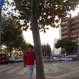 ���, ���������