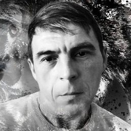 �������, ������, 46 ���