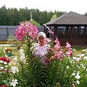 ���� ����, ���������� - ��������� 19 ������� 2022 � ������ ���� ����������