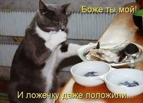    - 26  2022  06:41