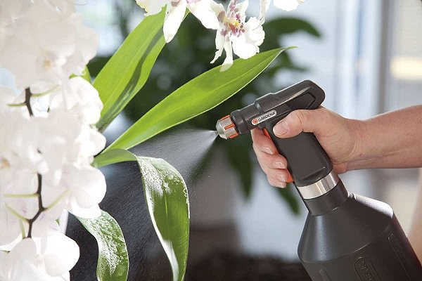 Чем полить орхидею, чтобы она выбросила сразу несколько цветоносов.Каждый день, возвращаясь домой, я ... - 2