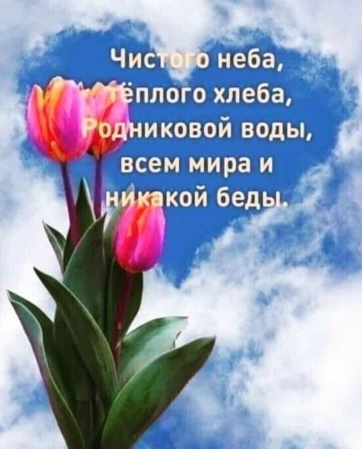   ! - 17  2022  21:34