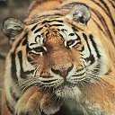 ���� ���������� - ����, ��������� - ��������� 9 �������� 2022