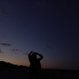 ������, ������, 22 ����