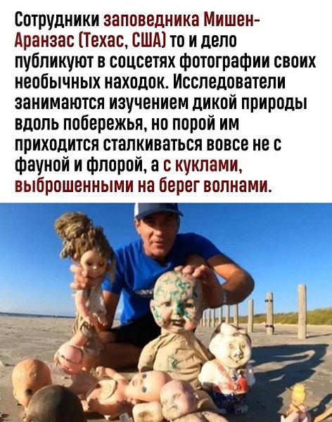 Отличное начало для сюжета фильма ужасов - 2